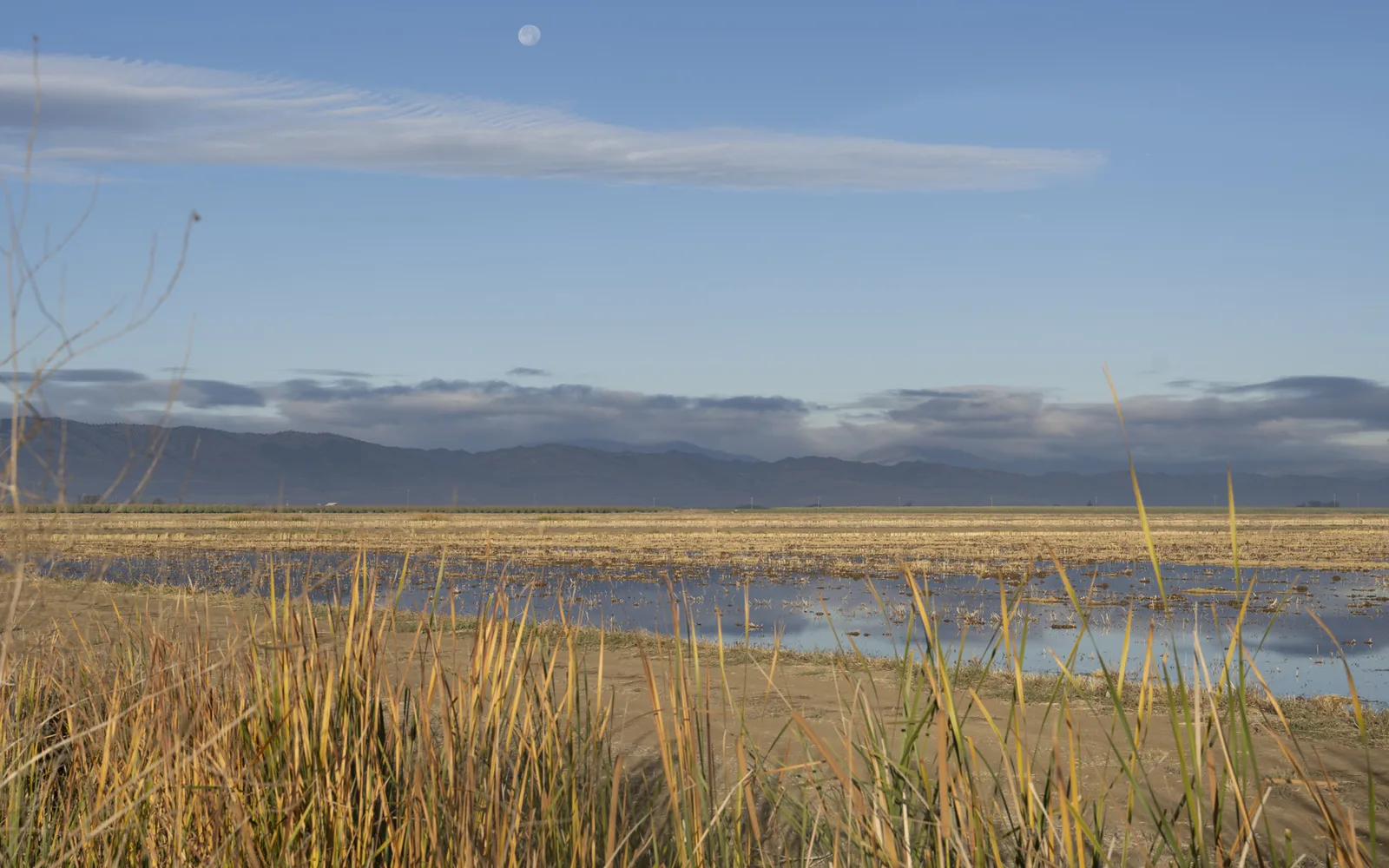 Northern California landscape with rolling hills and natural vegetation